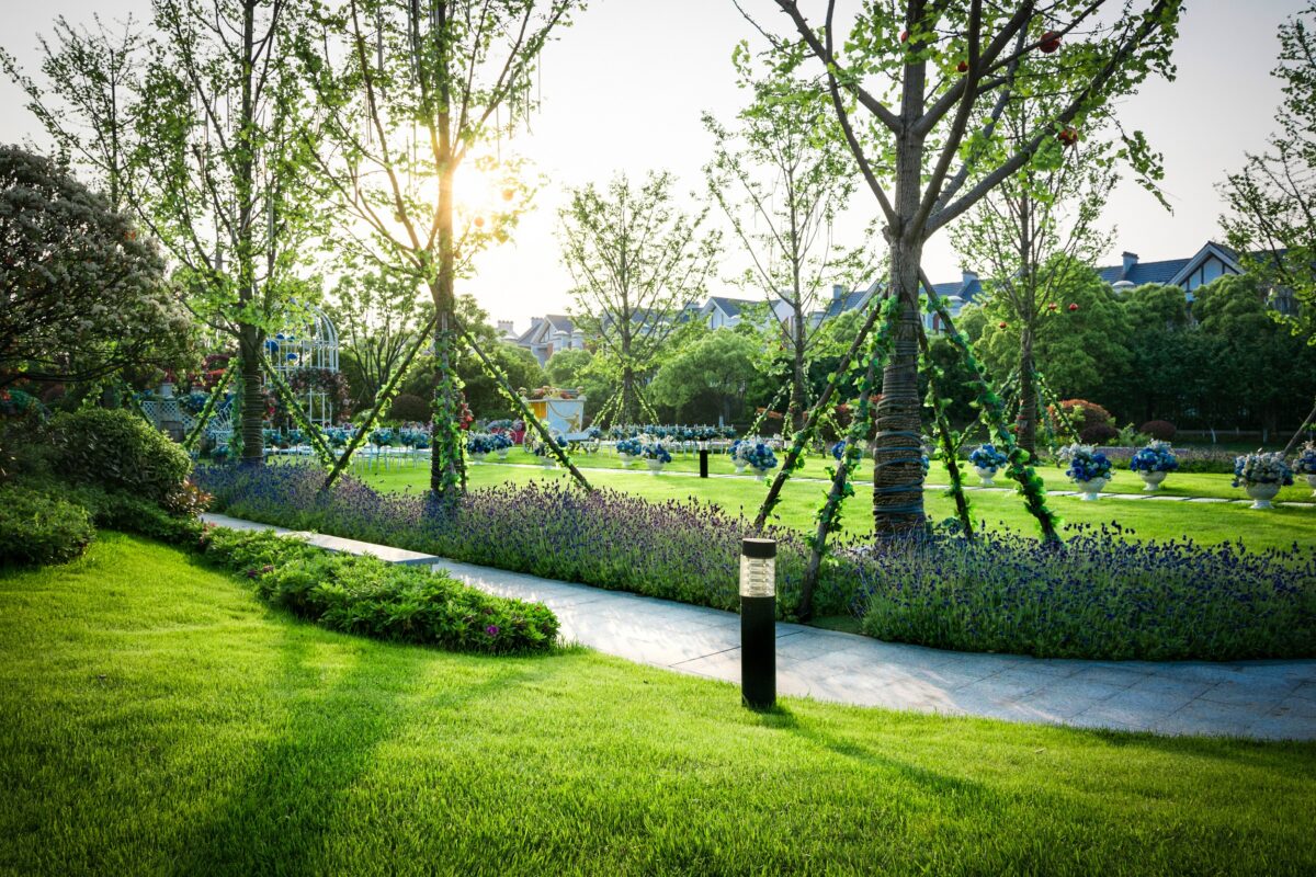 Beautiful panorama of green city park at dawn